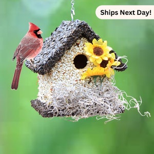 Edible Birdhouse - Handmade Wooden Birdhouse Covered w/ Birdseed- Reseedable Bird Feeder - The Perfect Gift! Made in USA (Short Dark Roof)