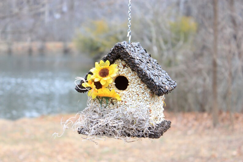 Edible Bird Home, Birdseed Birdhouse, Bird Seed House, Handmade Bird