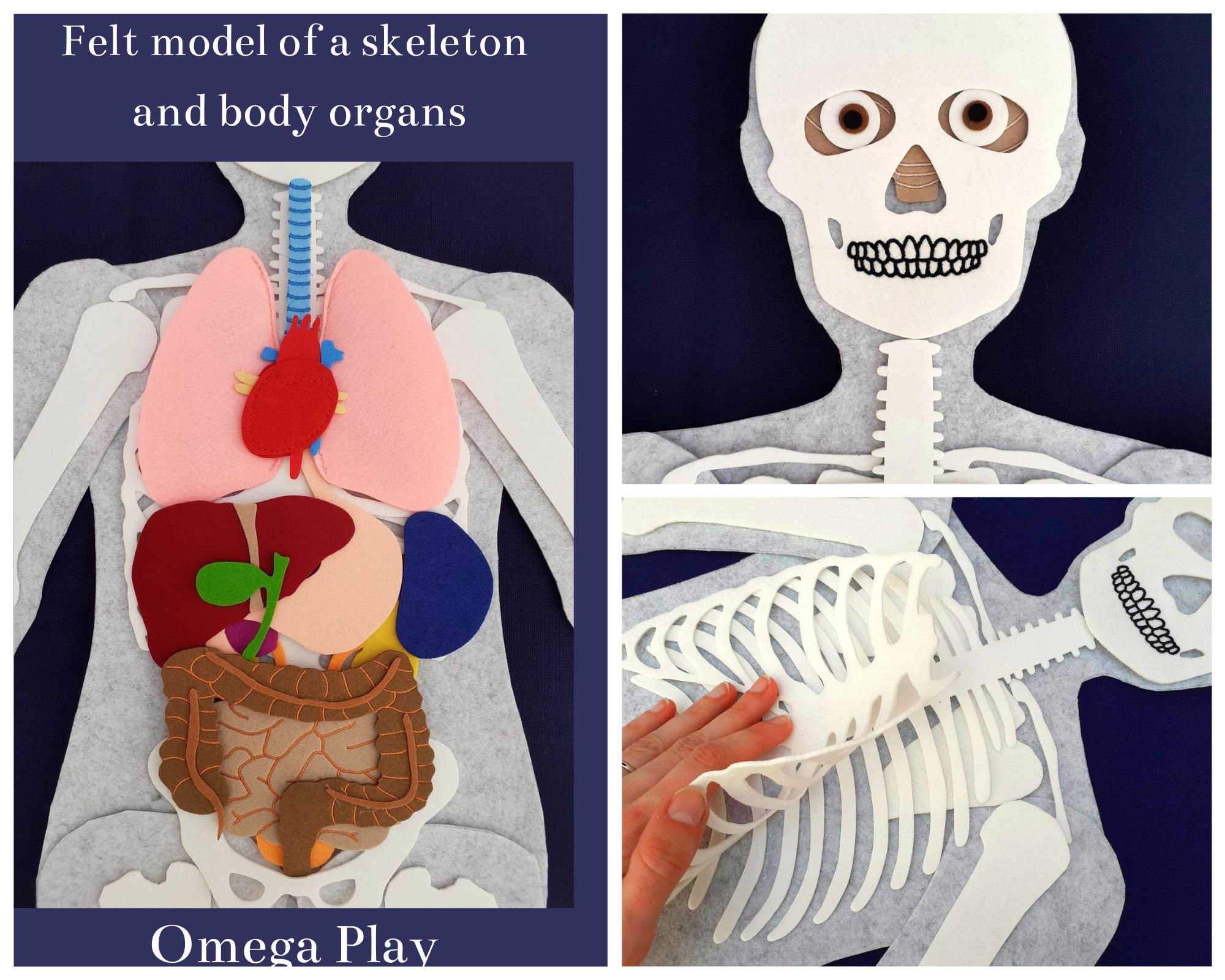 With Flashcards Human BODY Original Project Based On Science Etsy With flashcards human body original project based on science etsy