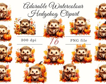 Mignon automne hérisson Clipart PNG, aquarelle automne animaux en téléchargement numérique, citrouille & feuilles graphique pour le scrapbooking et l'artisanat