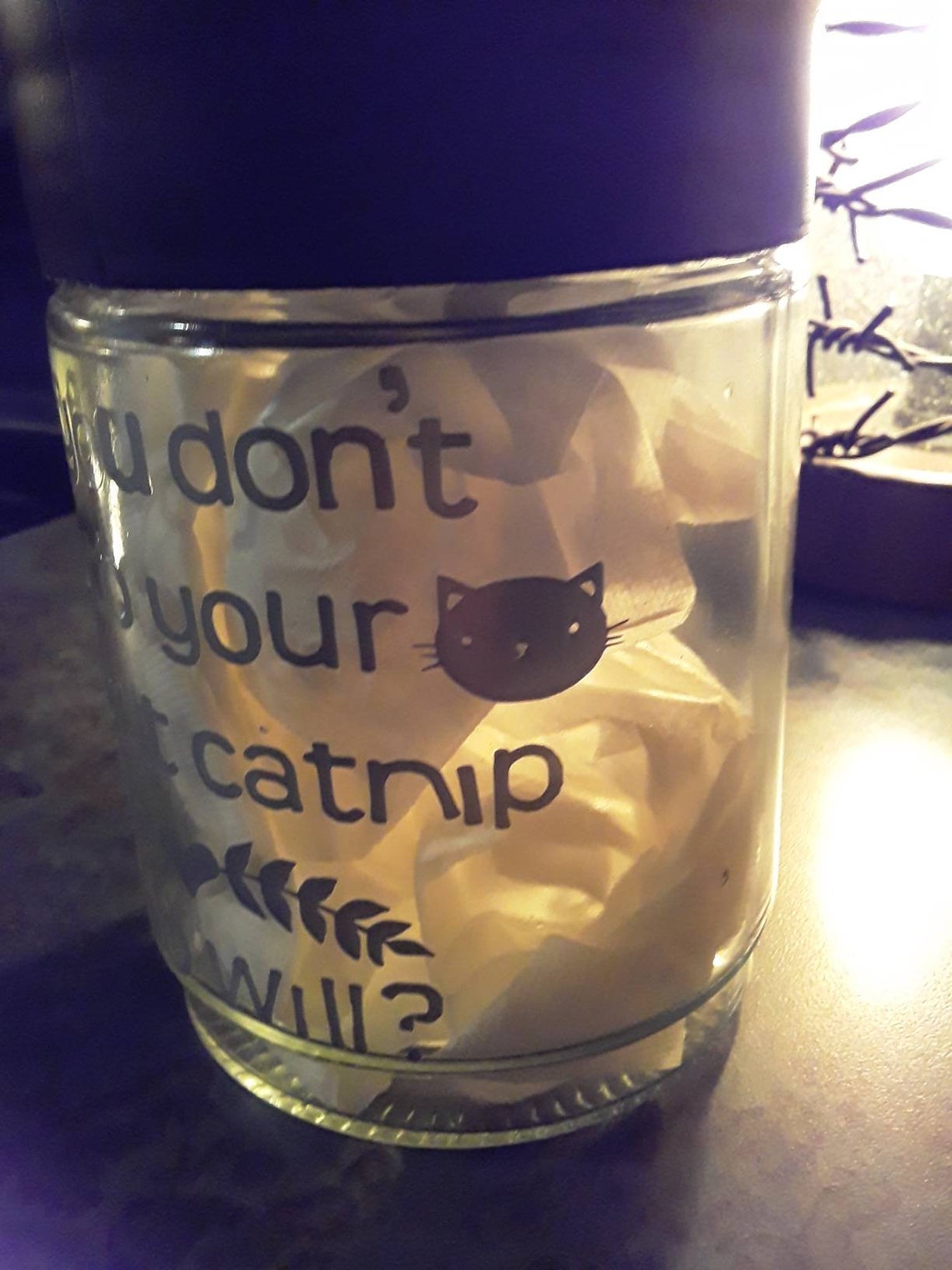 Funny cat treat jar catnip jar catnip cat gift cat mom Etsy