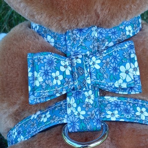 No-pull pet harness, cat, puppy, bunny pet harness