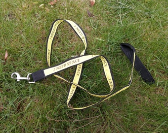 Special needs leash for pets