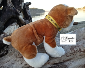Megaesophagus dog collar