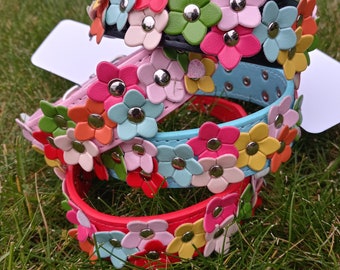 Flower power dog collar rainbow pride