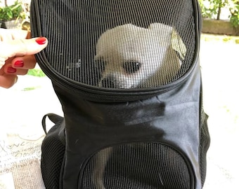 Pet travel backpack