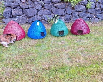 Ghanaian palm scratcher cat Palace!