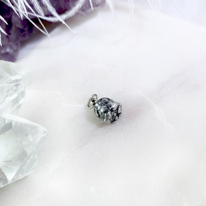 May include: A silver charm in the shape of a blackberry. The charm is detailed and realistic, with a textured surface that resembles the bumps of a real blackberry.