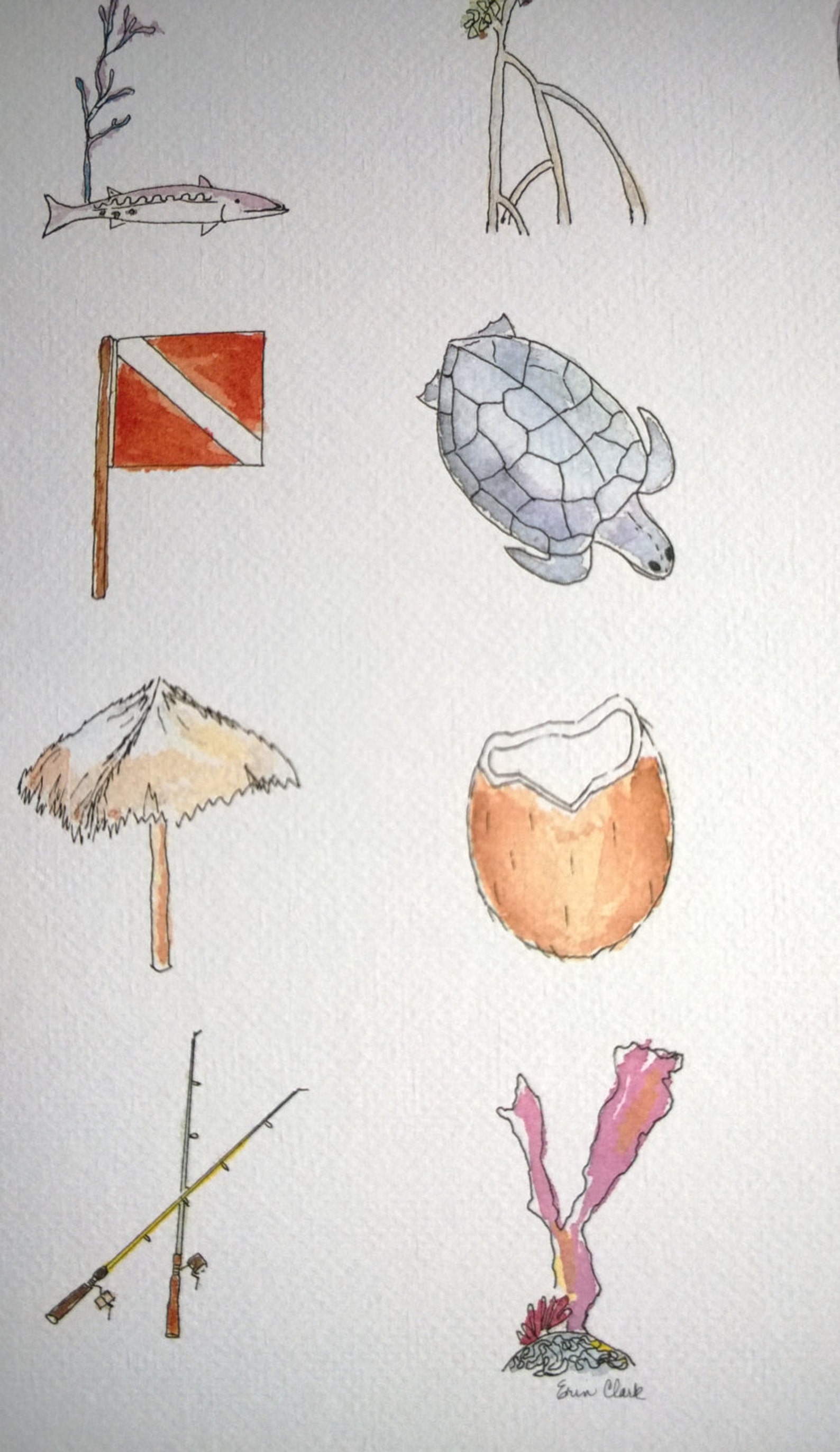 The Florida Keys Abc's - Etsy