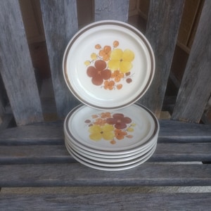 Puede incluir: Un conjunto de seis platos de cerámica blanca con borde marrón y un diseño floral con flores amarillas, naranjas y marrones.