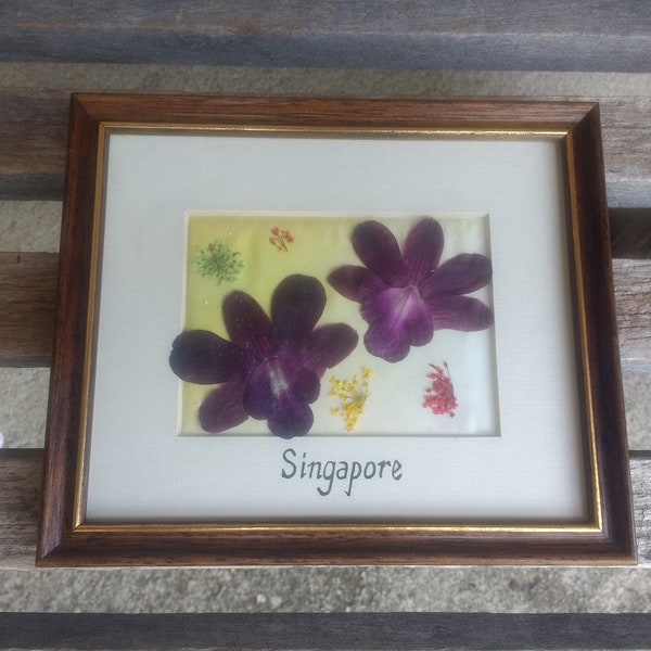 Vintage Singapore Natural Pressed Flower Art with the Copper Queen Takami Kodoma Flower Handcrafted Framed Pressed Flowers Made in Singapore