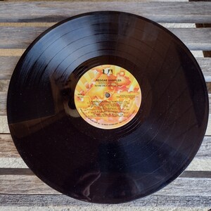 Peut inclure: Un disque vinyle noir avec une étiquette jaune et orange qui indique "Reggae Sampler" et liste les chansons "Burning Up" et "The Message".