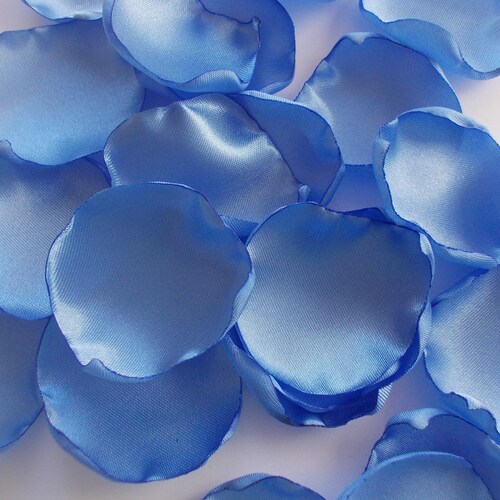 Sky Blue Wedding Decor Ivory Rose Petals White Flower Girl Etsy