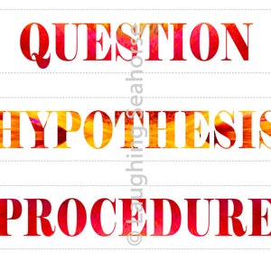 Może przedstawiać: Trzy białe prostokątne karty z czerwonym, pomarańczowym i żółtym tekstem. Słowa "PYTANIE", "HIPOTEZA" i "PROCEDURA" są napisane pogrubioną, dużą czcionką.