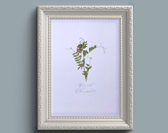 押し花の冬ベッチの花の壁アート - フレームなし A4