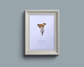 乾燥した押し花のサイン - フレームなし A4