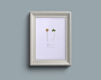 White clover pressed flower wall art - unframed A4