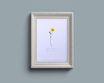 押し花のキンポウゲの押し花ウォールアート - フレームなし A4