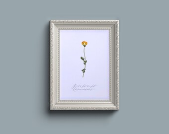 押し花ウォールアート - フレームなし A5