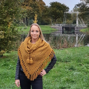 US & NL Crochet Pattern Pumpkin Pie Hooded Cowl by Annah Haakt image 4