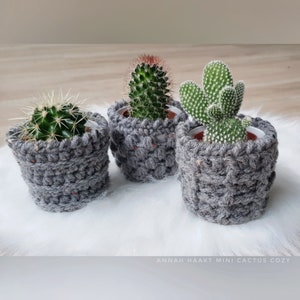 Op de afbeelding: Drie kleine cactusplanten in potten met grijze gehaakte plantenhoezen. De tekst "ANNAH HAAKT MINI CACTUS COZY" staat onderaan de afbeelding.