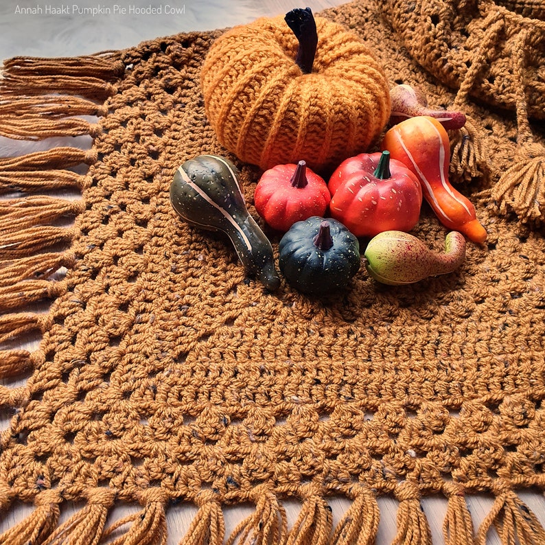 US & NL Crochet Pattern Pumpkin Pie Hooded Cowl by Annah Haakt image 6