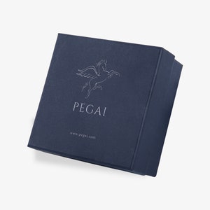 May include: A dark blue box with a white winged horse logo and the text "PEGAI" and "www.pegai.com".