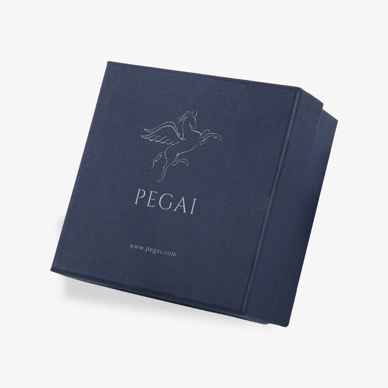 May include: A dark blue box with a white winged horse logo and the text "PEGAI" and "www.pegai.com".