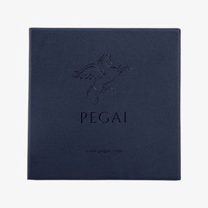 May include: A navy blue box with a white winged horse logo and the text "PEGAI" and "www.pegai.com".