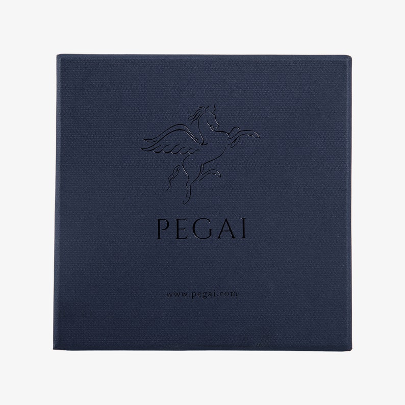 May include: A navy blue box with a white winged horse logo and the text "PEGAI" and "www.pegai.com".