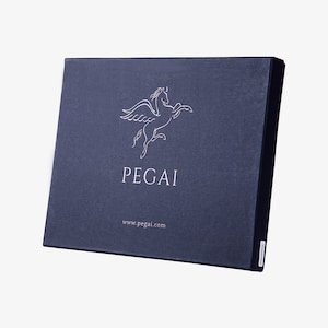 May include: A dark blue box with a white winged horse logo and the text "PEGAI" and "www.pegai.com".