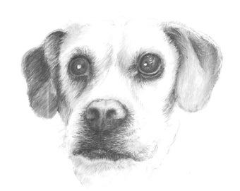 Custom Pet Portrait from Your Favorite Photo