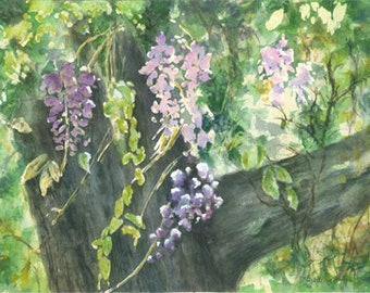 Wisteria in the Trees