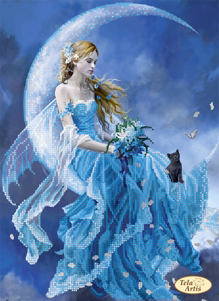 Night Fairy Moon Bead Embroidery Kit DIY Black Cat Needlework Kit ...