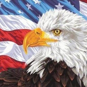 Weißkopfseeadler Kreuzstichmuster Amerikanischer Weißkopfseeadler Kreuzstichmuster Modernes Dekor Vogel Kreuzstichmuster Tierstickerei Nadelspitze Stickmuster PDF Download