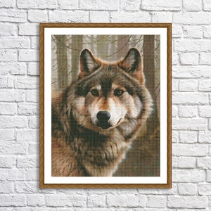 May include: A close-up portrait of a wolf with brown and gray fur. The wolf is looking directly at the camera with a serious expression. The background is a blurred image of a forest.
