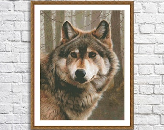 May include: A close-up portrait of a wolf with brown and gray fur. The wolf is looking directly at the camera with a serious expression. The background is a blurred image of a forest.