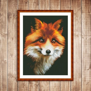 May include: A close-up portrait of a red fox with a white chest and a black background. The fox has bright orange eyes and a fluffy tail.