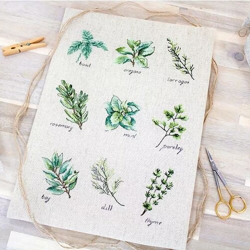 Cross Stitch Kit Spices and Herbs Lucas Modern Decor Etsy