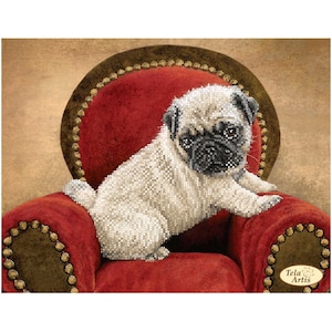 Può includere: Un cucciolo di carlino bianco è seduto su una poltrona di velluto rosso con bordi dorati. Il cucciolo guarda la telecamera con un'espressione curiosa. Lo sfondo è di colore marrone chiaro.