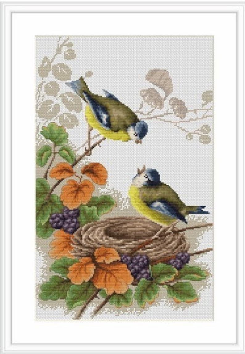 Cross Stitch Kit Birds in Nest Counted Cross Stitch Lucas Etsy