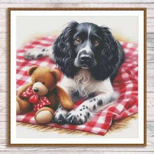 Puede incluir: Un perro blanco y negro con ojos marrones está acostado sobre una manta a cuadros roja y blanca junto a un oso de peluche marrón con un lazo rojo. El perro tiene pelo largo y ondulado negro y marcas blancas.