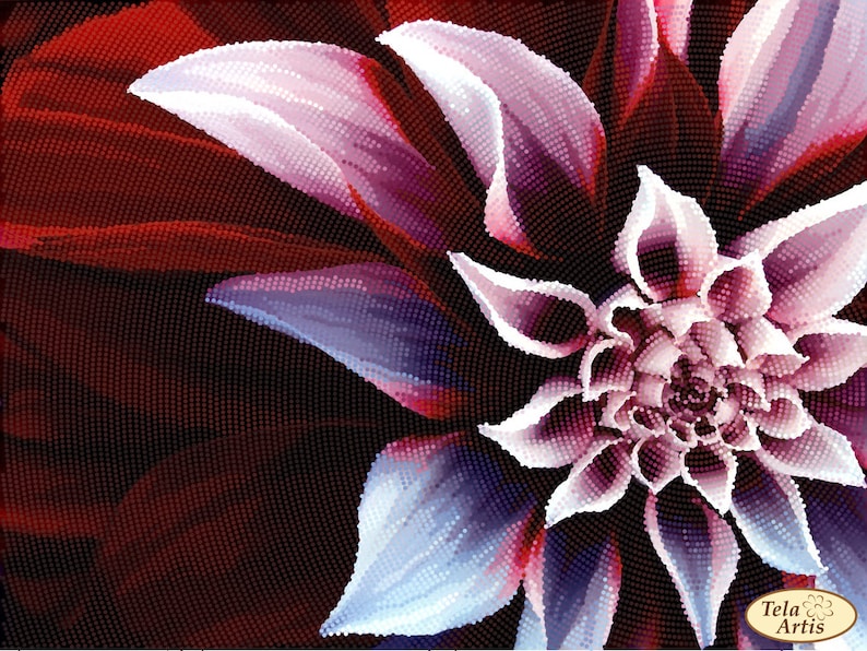 May include: A close-up of a white flower with a red and purple background. The flower is in the center of the image and is surrounded by red and purple petals. The flower is made of small, white beads.