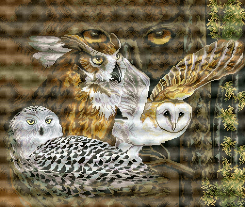 Бесплатные схемы от совиного леса