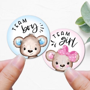 Teddy bear gender reveal stickers, baby bear stickers for Baby Shower, Bear theme gender reveal party, Bear decoration for baby shower - B14