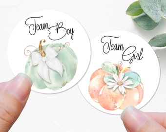 Pumpkin Gender Reveal Stickers: Fall Baby Shower Labels -B19