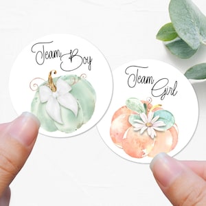 Pumpkin Gender Reveal Stickers, Fall baby shower, Autumn baby shower, Pastel pumpkins gender reveal, Fall baby shower labels - B19