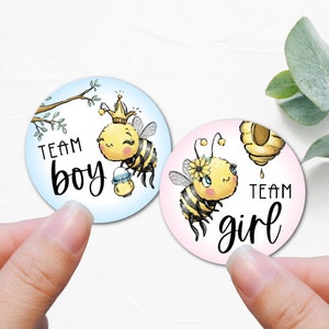 Bee gender reveal stickers, baby bee stickers for Baby Shower, Honey bee stickers for gender reveal party, what will it bee decoration- B15