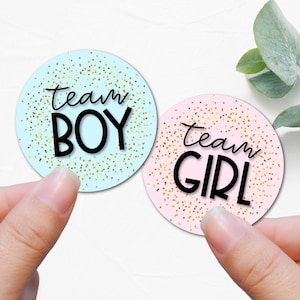 Gender reveal stickers • Baby shower stickers • Baby gender reveal decoration • Confetti stickers for baby gender reveal - B1