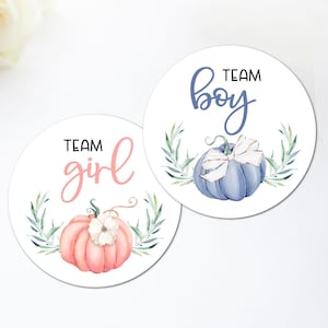 Little pumpkin Gender reveal stickers, Fall gender reveal stickers, Autumn gender reveal stickers, navy and pink pumpkins tags - B20